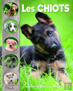 Bertrand.pt - Tout Un Monde En Photos : Les Chiots