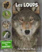 Tout Un Monde En Photos : Les Loups