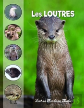 Tout Un Monde En Photos : Les Loutres