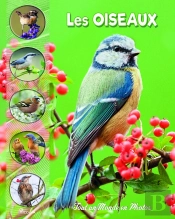 Tout Un Monde En Photos : Les Oiseaux Des Parcs Et Jardins