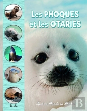 Tout Un Monde En Photos : Les Phoques Et Les Otaries