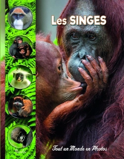 Bertrand.pt - Tout Un Monde En Photos : Les Singes