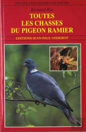 Toutes Les Chasses Du Pigeon Ramier