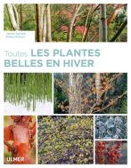 Toutes Les Plantes Belles En Hiver
