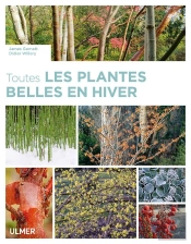 Toutes Les Plantes Belles En Hiver