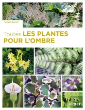 Toutes Les Plantes Pour L'Ombre