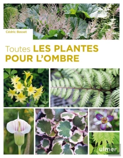 Bertrand.pt - Toutes Les Plantes Pour L'Ombre