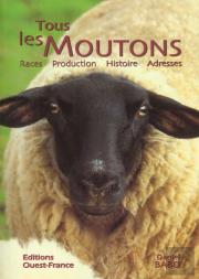 Toutes Les Races De Moutons