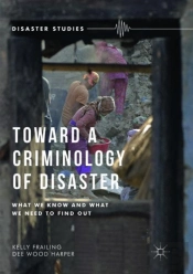 Toward A Criminology Of Disaster