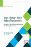Toward A Monetary Union In The East African Community