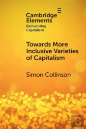 Towards More Inclusive Varieties Of Capitalism