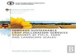 Towards Sustainable Crop Pollination Services