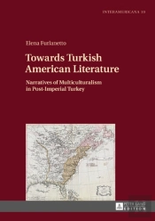 Towards Turkish American Literature