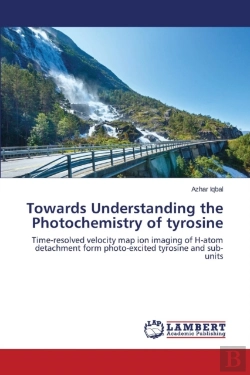 Bertrand.pt - Towards Understanding The Photochemistry Of Tyrosine