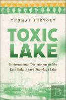Toxic Lake