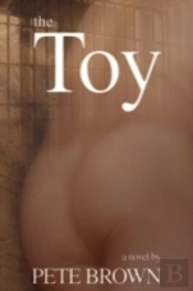 Toy