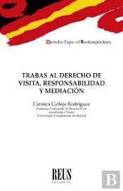 Trabas Al Derecho De Visita, Responsabilidad Y Mediación