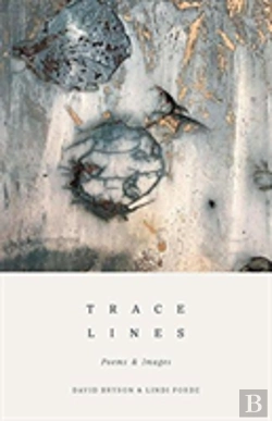Bertrand.pt - Trace Lines
