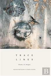 Trace Lines