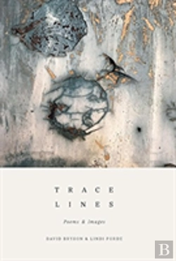 Bertrand.pt - Trace Lines