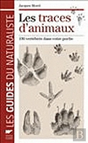 Traces D'Animaux