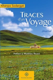 Traces D'Un Voyage : Journal