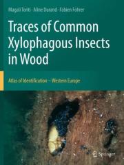 Traces Of Common Xylophagous Insects In Wood