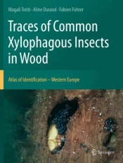 Traces Of Common Xylophagous Insects In Wood