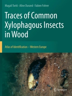 Bertrand.pt - Traces Of Common Xylophagous Insects In Wood