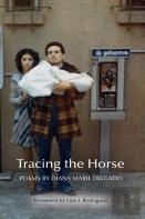 Tracing The Horse