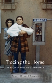 Tracing The Horse