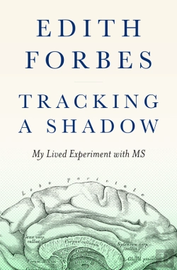 Bertrand.pt - Tracking A Shadow