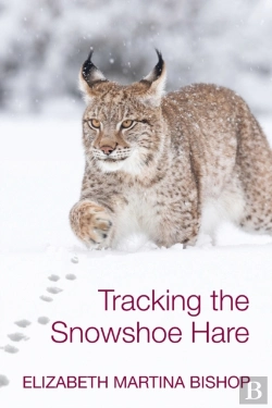Bertrand.pt - Tracking The Snowshoe Hare