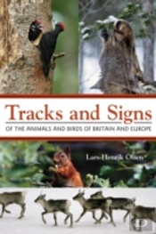 Tracks And Signs Of The Animals And Birds Of Britain And Europe