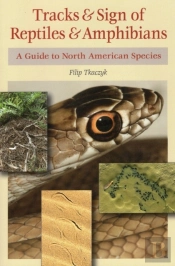 Tracks & Sign Of Reptiles & Amphibians