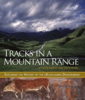Tracks In A Mountain Range