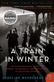 Train In Winter