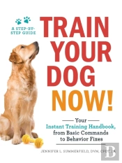Train Your Dog Now!