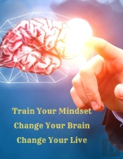 Train Your Mindset, Change Your Brain, Change Your Life