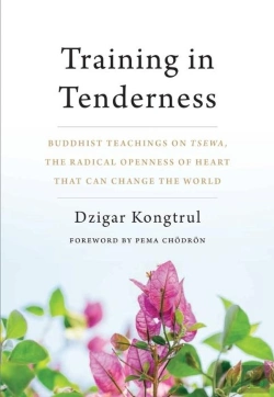 Bertrand.pt - Training In Tenderness