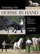 Training The Horse In Hand