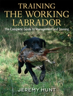 Bertrand.pt - Training The Working Labrador