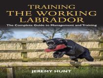 Training The Working Labrador