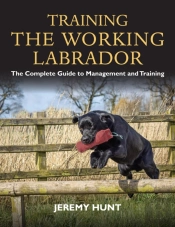 Training The Working Labrador