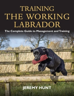Bertrand.pt - Training The Working Labrador