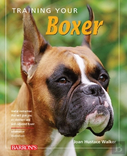 Bertrand.pt - Training Your Boxer