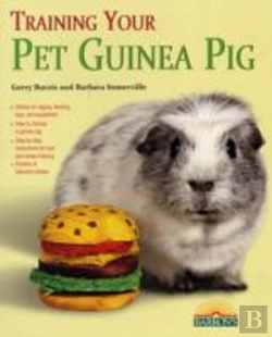 Bertrand.pt - Training Your Guinea Pig