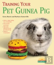Training Your Guinea Pig
