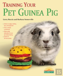 Bertrand.pt - Training Your Guinea Pig