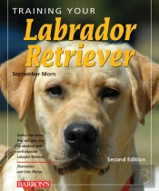 Training Your Labrador Retriever